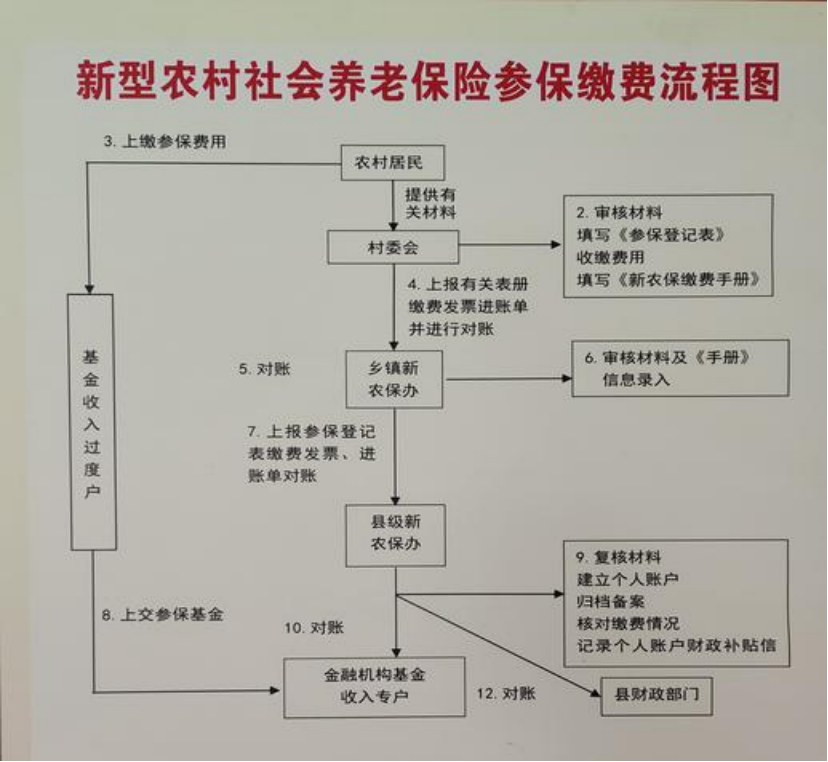 宝鸡农村医保和社保有什么区别(农村医保跟社保的区别)